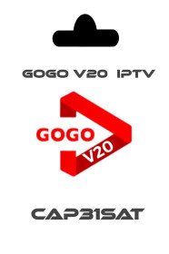 Gogo v21 01 Mois 